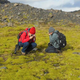 Early life on land looked similar to this lava field in Iceland, consisting of cyanobacteria, mosses, and lichens. (Image: Paul Kenrick)